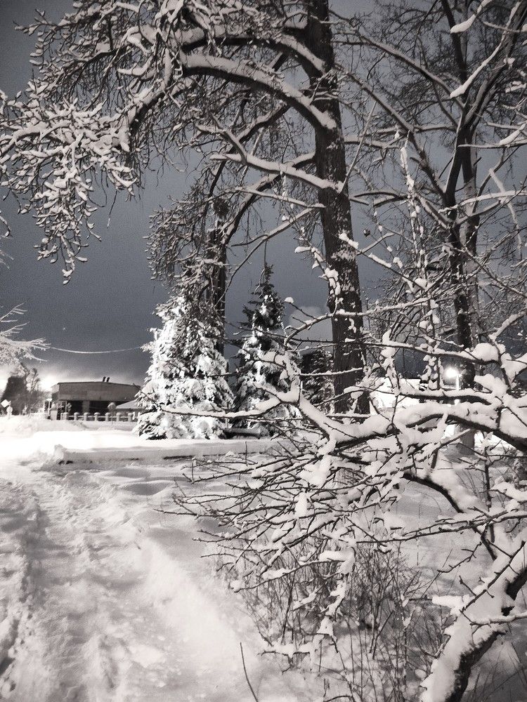 Photograph by Людмила Ваганова