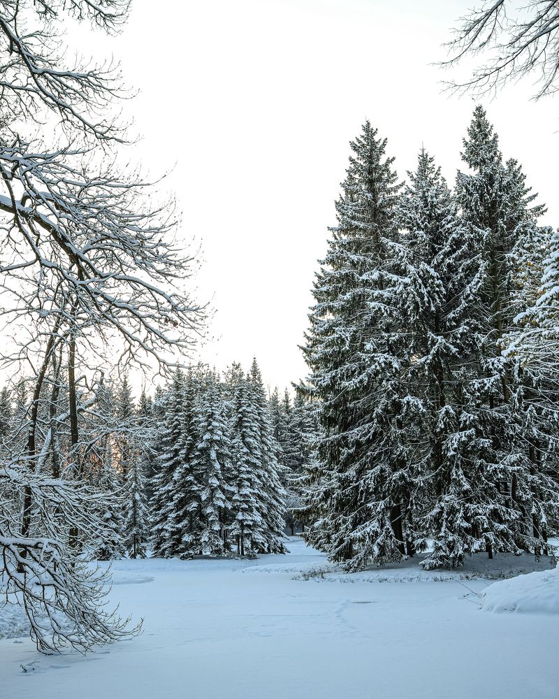 Photograph by Вера Печеник