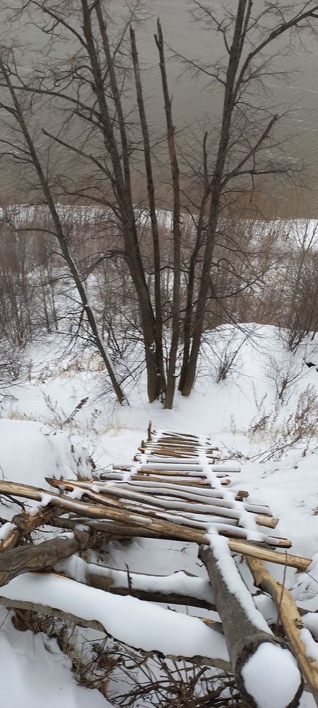 Photo #11704668