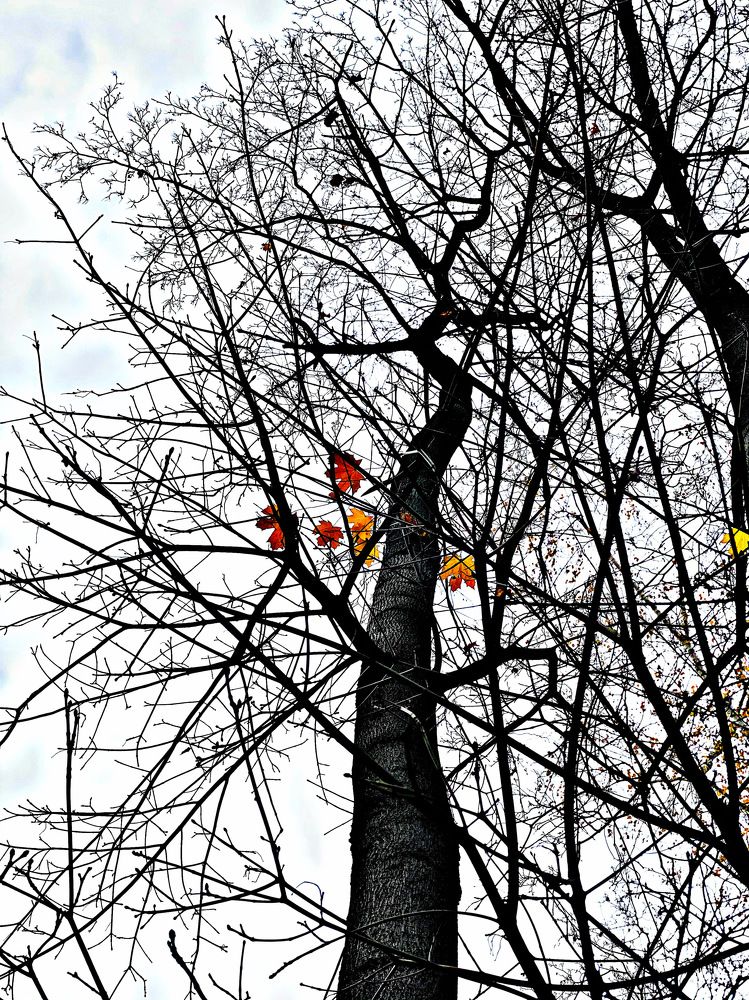 Photograph by Екатерина Балабасева