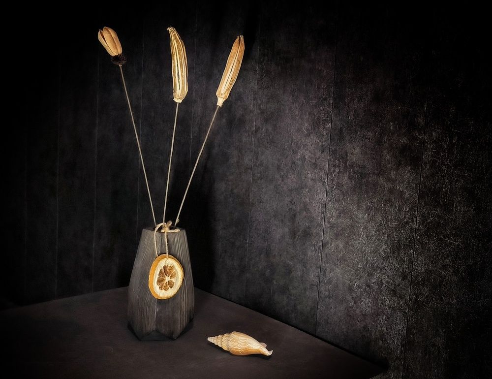 Photograph by Svetlana Gubanova