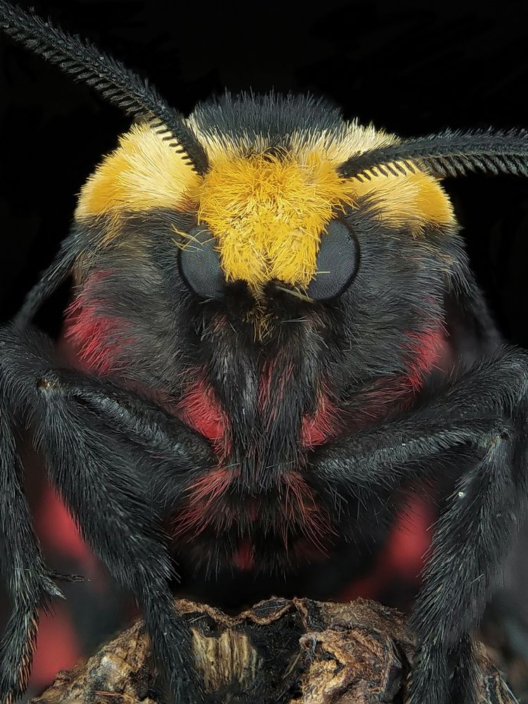 Photograph by Akash Pani