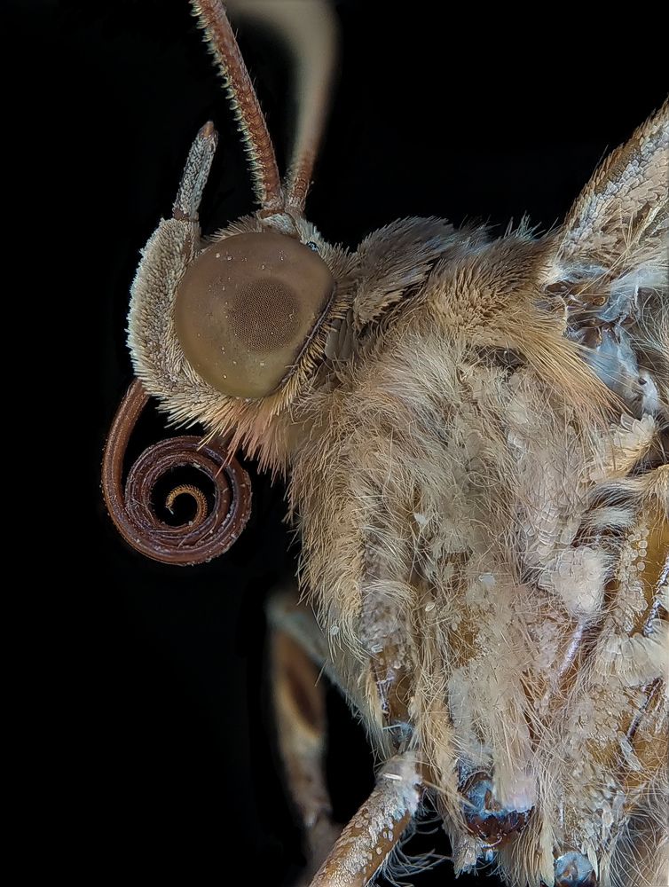 Photograph by Akash Pani