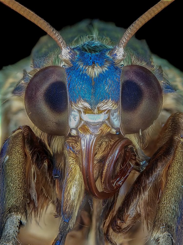 Photograph by Akash Pani