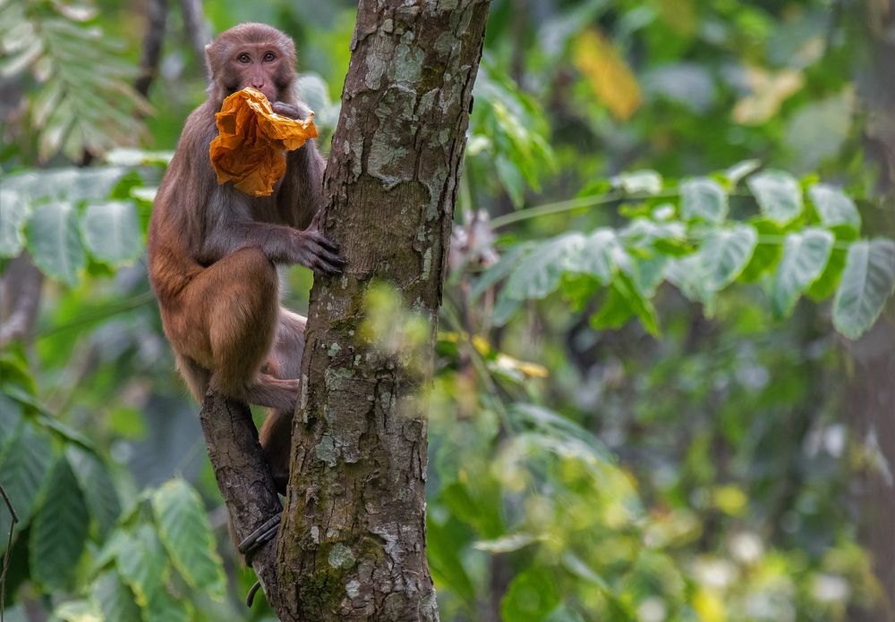 Photograph by Souvick Mukherjee