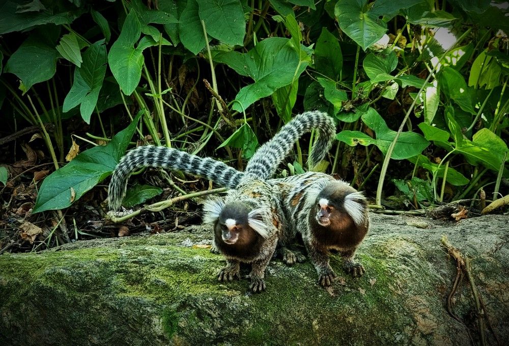 Photograph by Gr Marie