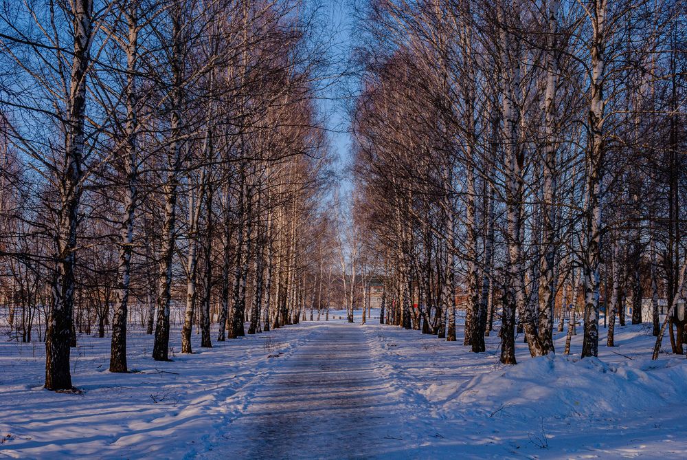 Photograph by Сергей Евсеев