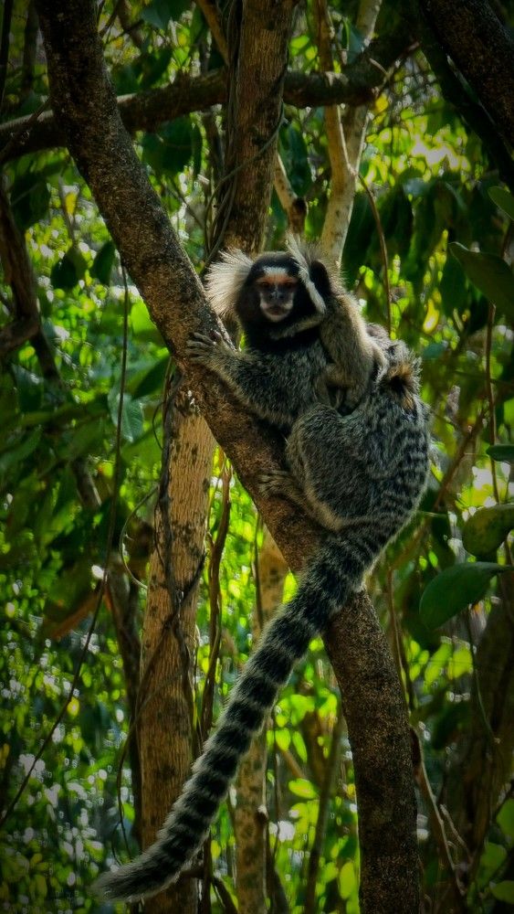 Photograph by Gr Marie