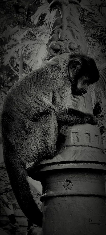 Photograph by Gr Marie