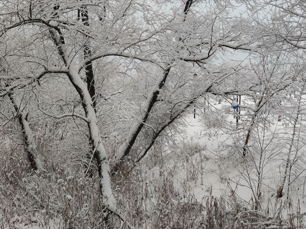 Photograph by Наталья