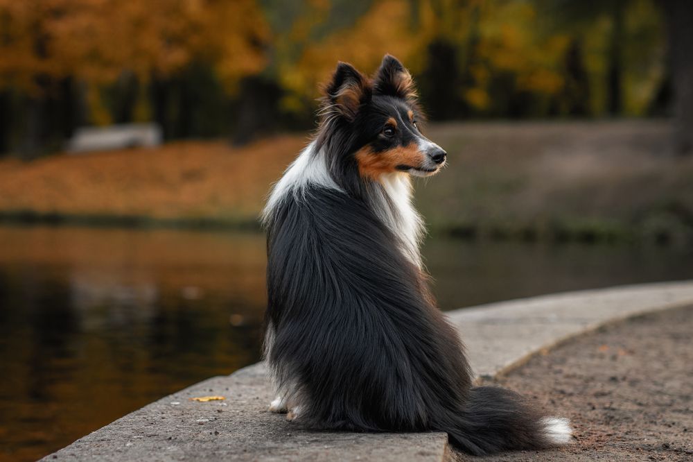 Photograph by Зубкова Юлия