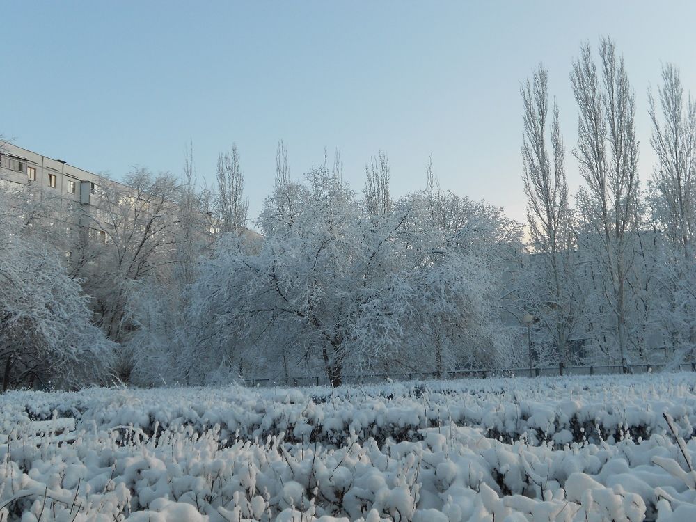 Photograph by Любовь Панфилова