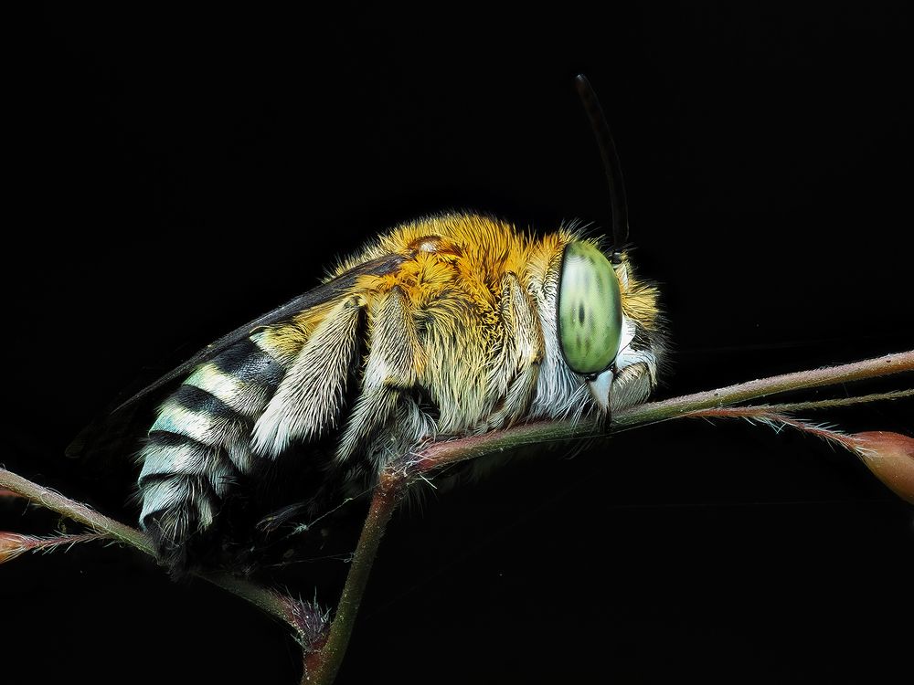 Photograph by Phuong Nguyen