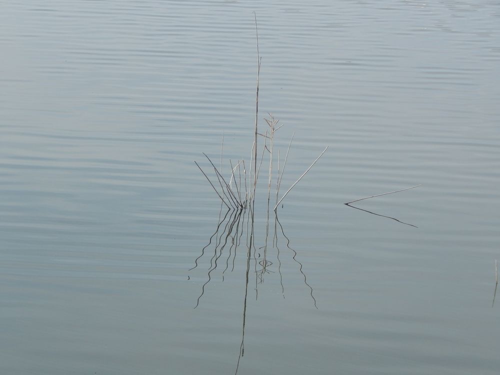 Photograph by Tanivsv