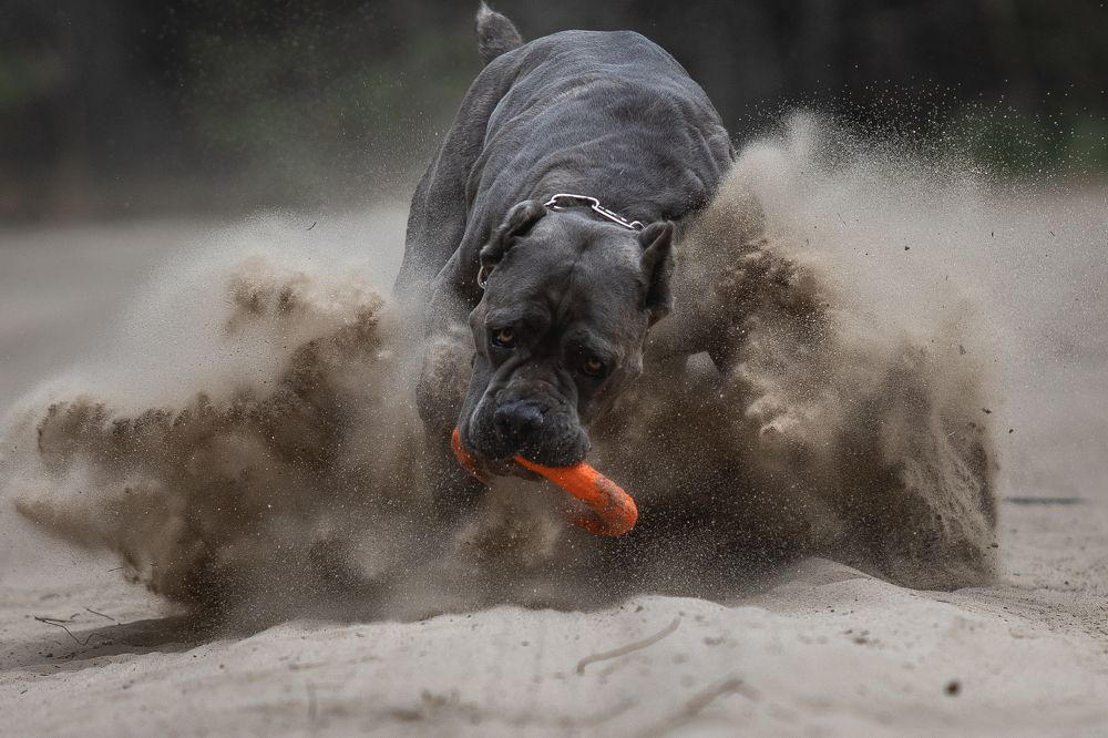 Photograph by Люда Солдатченкова