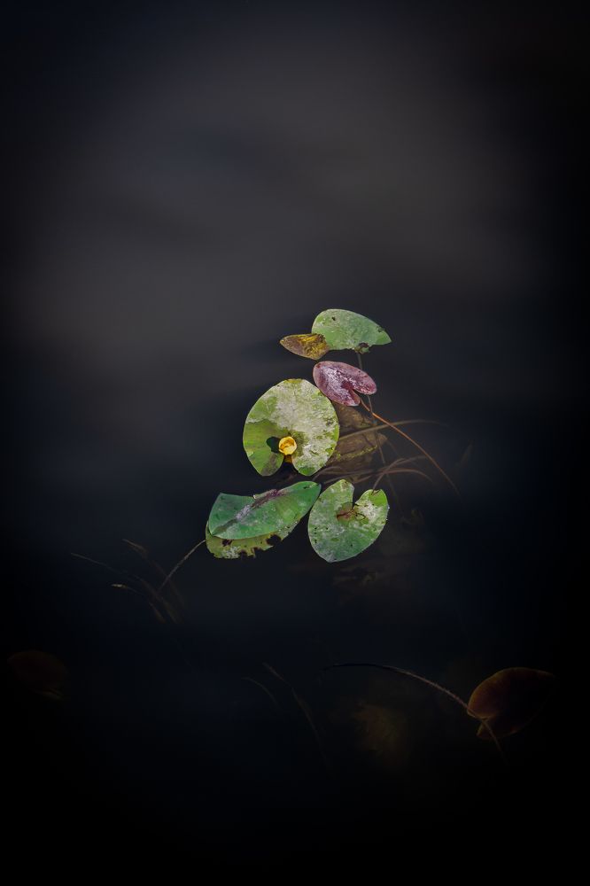 Глубокая тишина