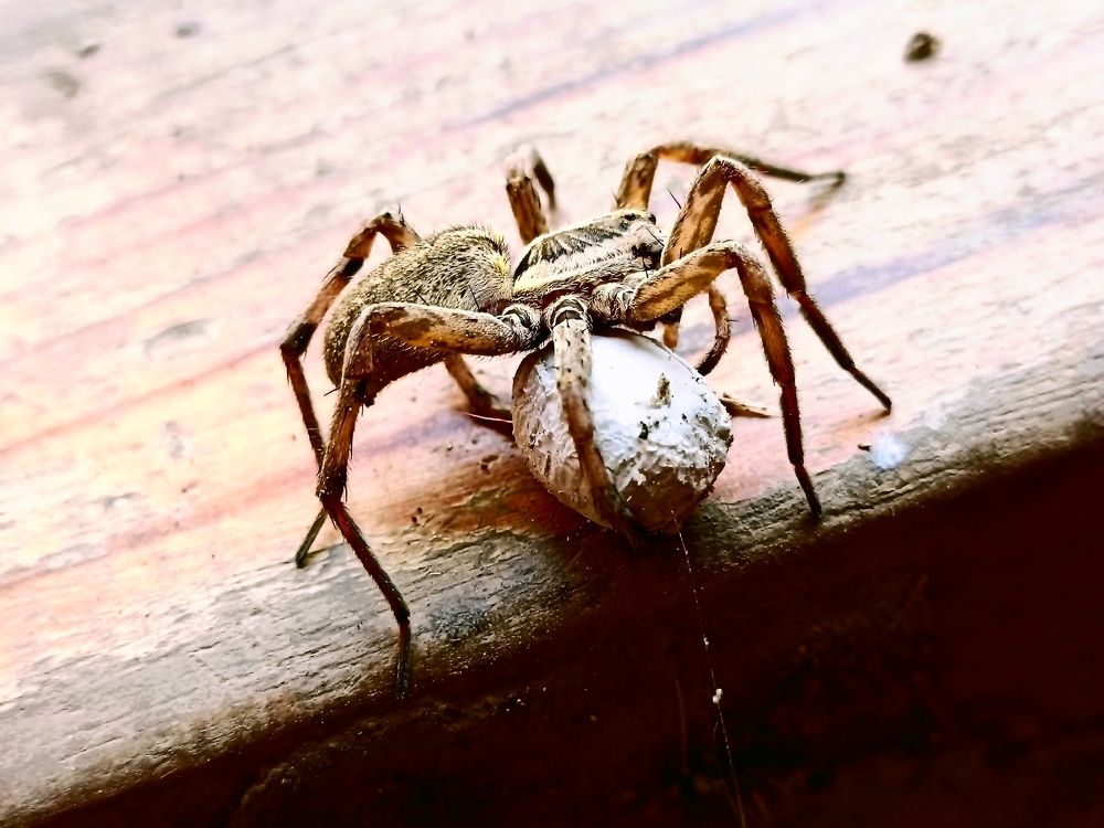Photograph by Александр Казачек