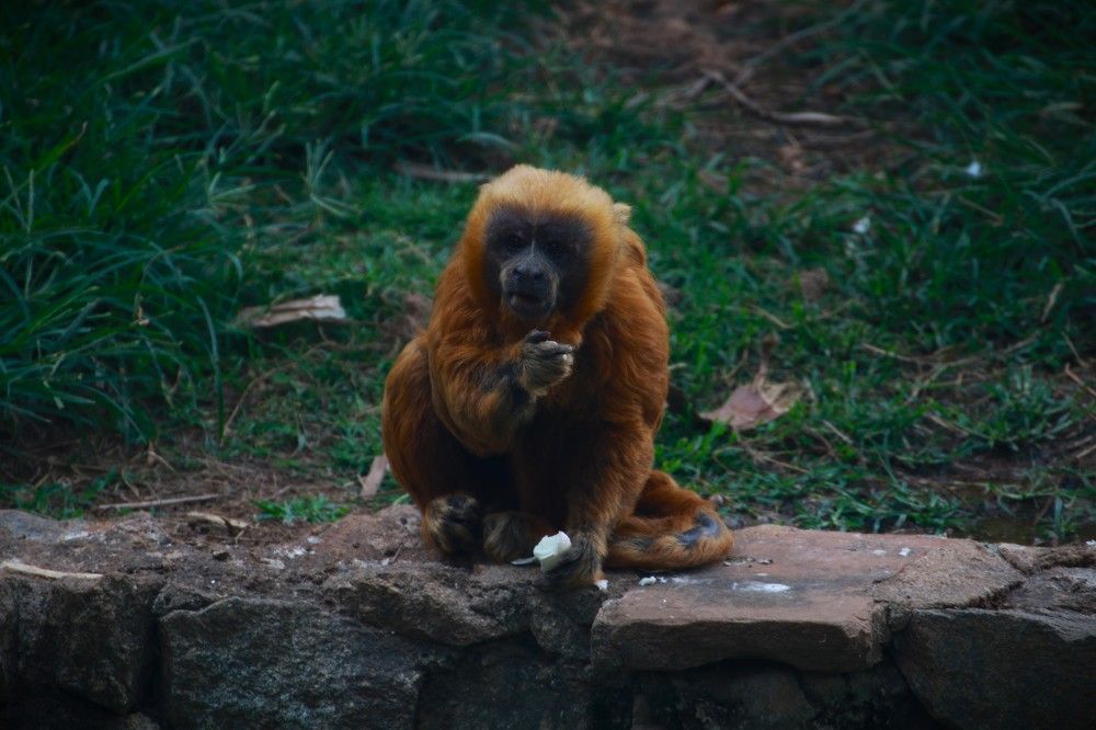 Photograph by Gr Marie