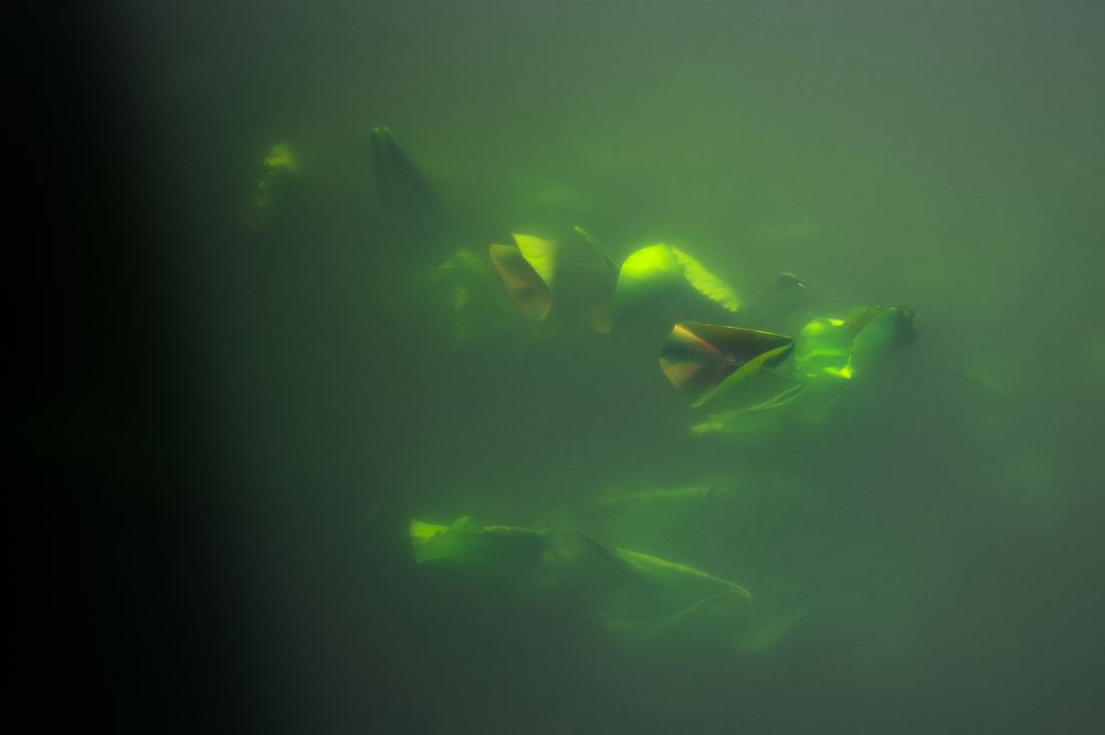 Своя атмосфера