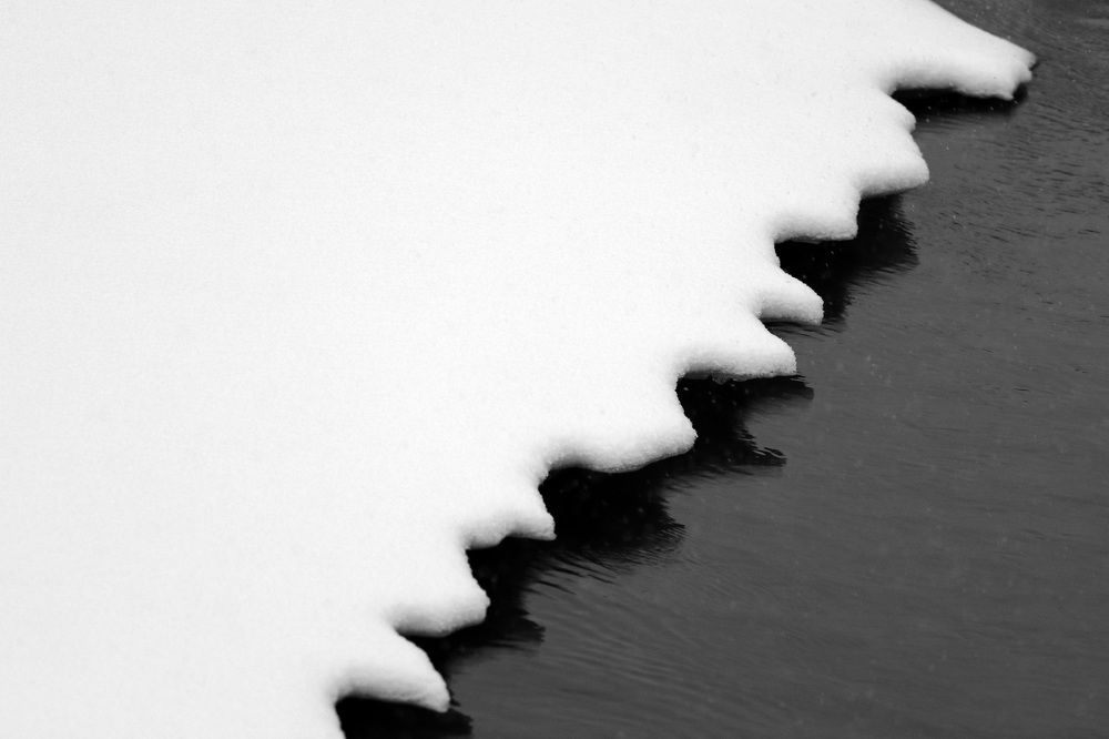 Фотография автора Колосова Елена