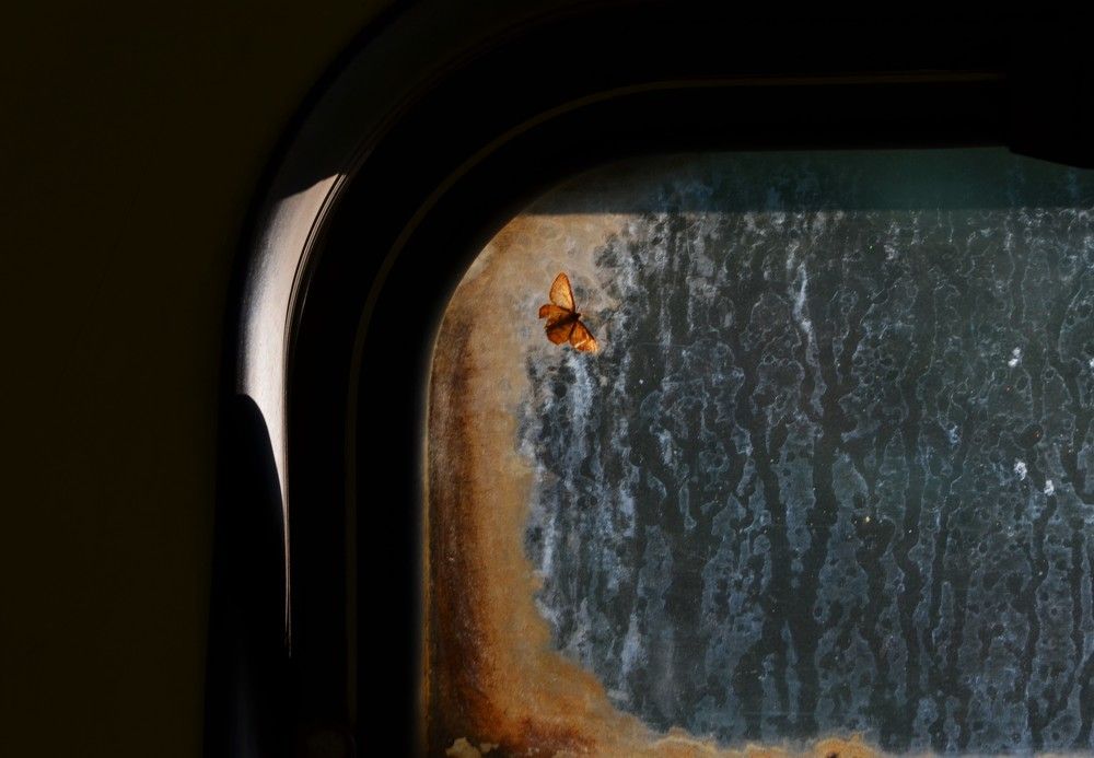 Photograph by Lyubov Makuha