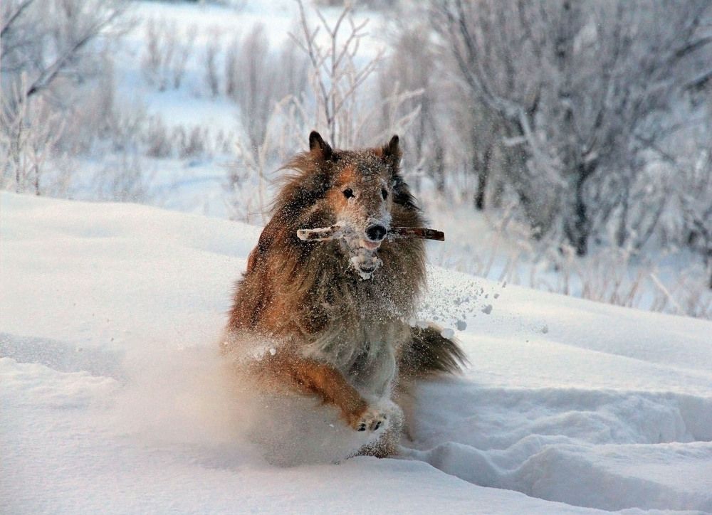 Photograph by Елена Маракулина