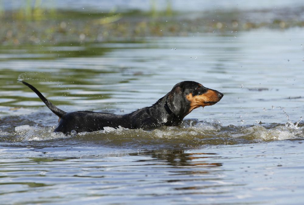 Photograph by Елена Маракулина