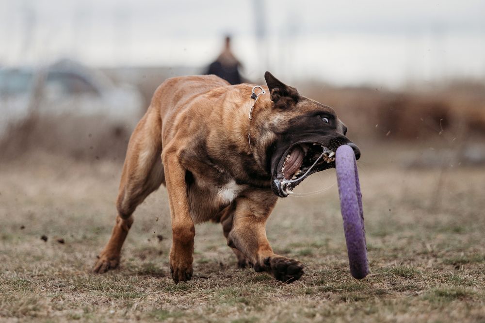 Photograph by Люда Солдатченкова