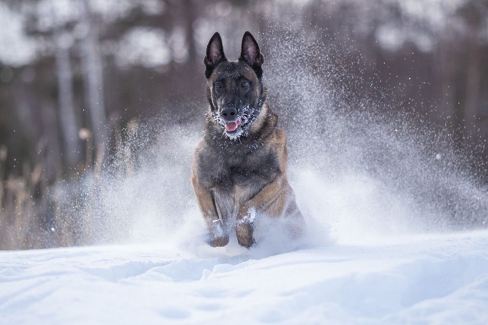 Photograph by Люда Солдатченкова