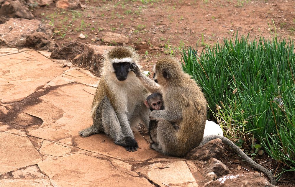 Фотография автора Наталья Липовская
