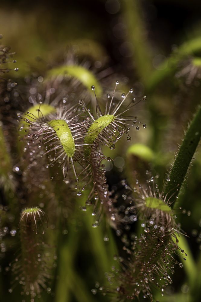 Photograph by Юлия Шурандина