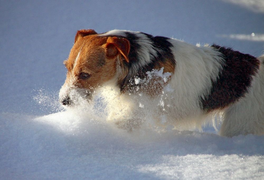 Photograph by Елена Маракулина