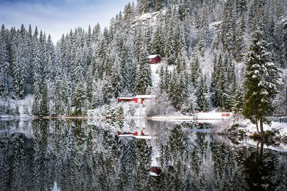 Photograph by Renee Johansson