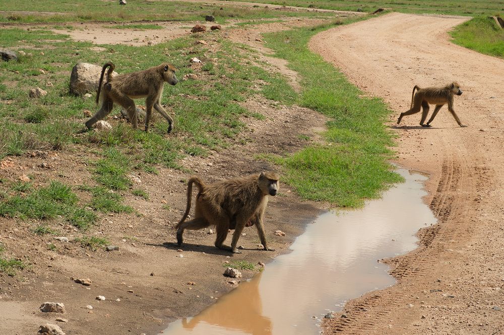 Фотография автора Наталья Липовская