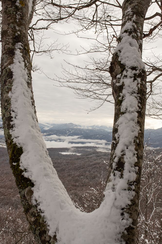 Photograph by Цибуляк Анна