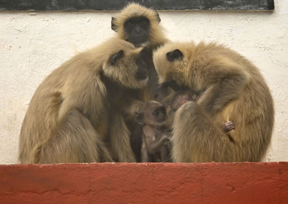 Photograph by Rajesh Kumar
