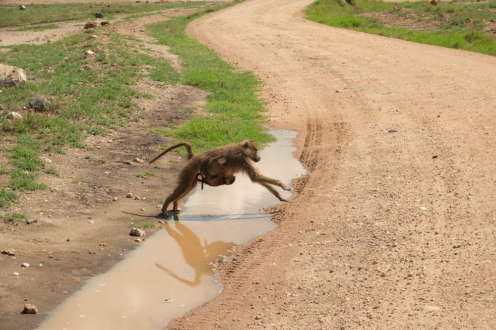 Фотография автора Наталья Липовская
