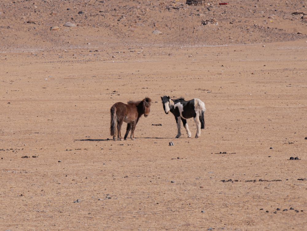 Photograph by Елена Павлова