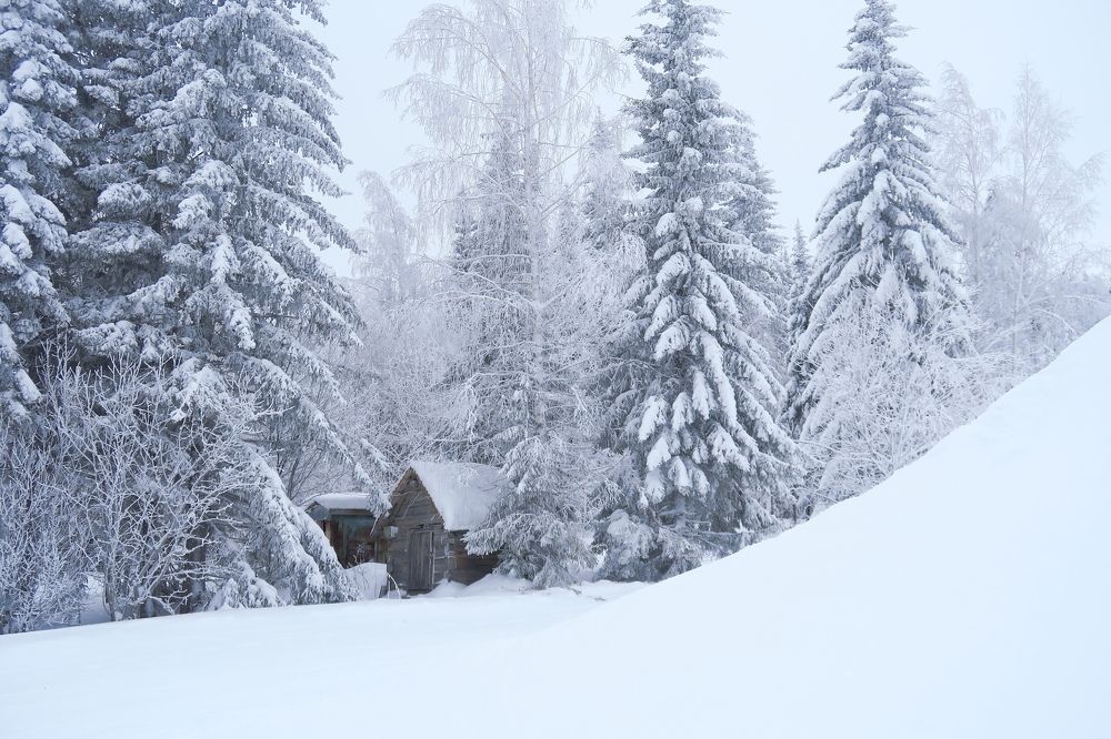 Photograph by Орл Про