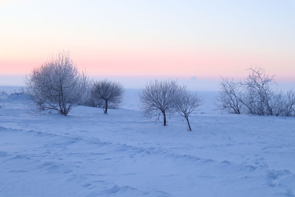 Photograph by Anastasia Kopylova