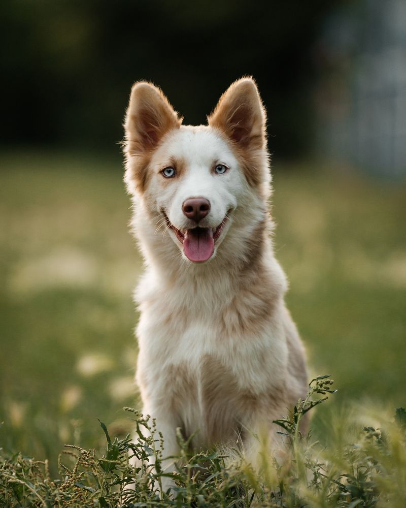 Photograph by Люда Солдатченкова