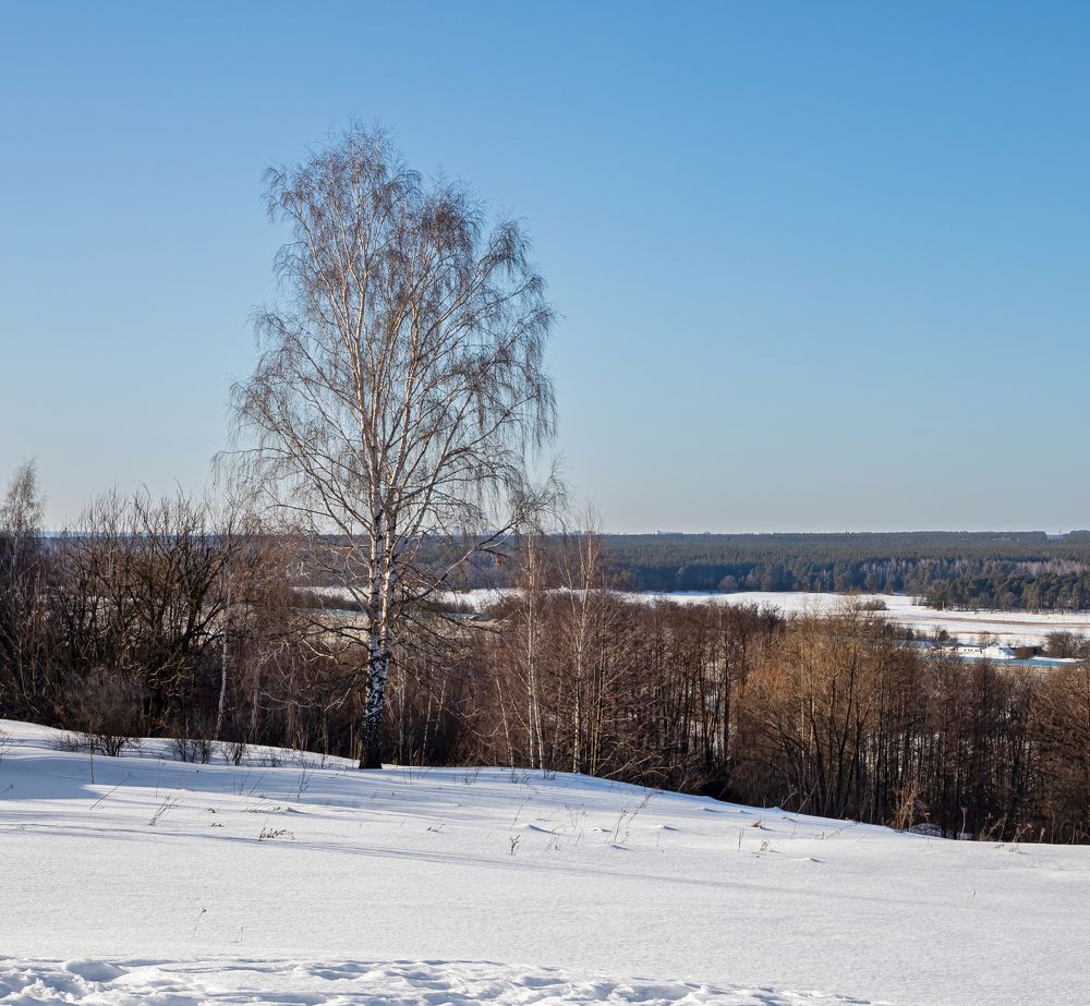 Photograph by Алексей Бирин