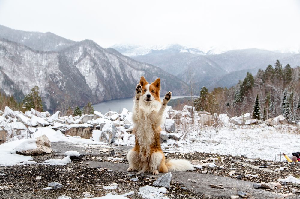 Photograph by Семенов Александр