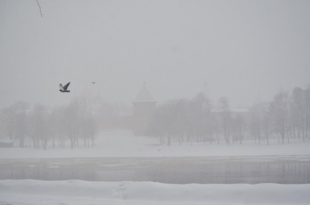 Photograph by Lyubov Makuha