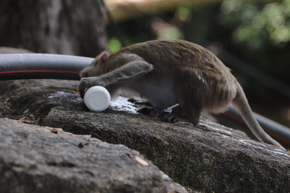 Photograph by Оксана Сафина