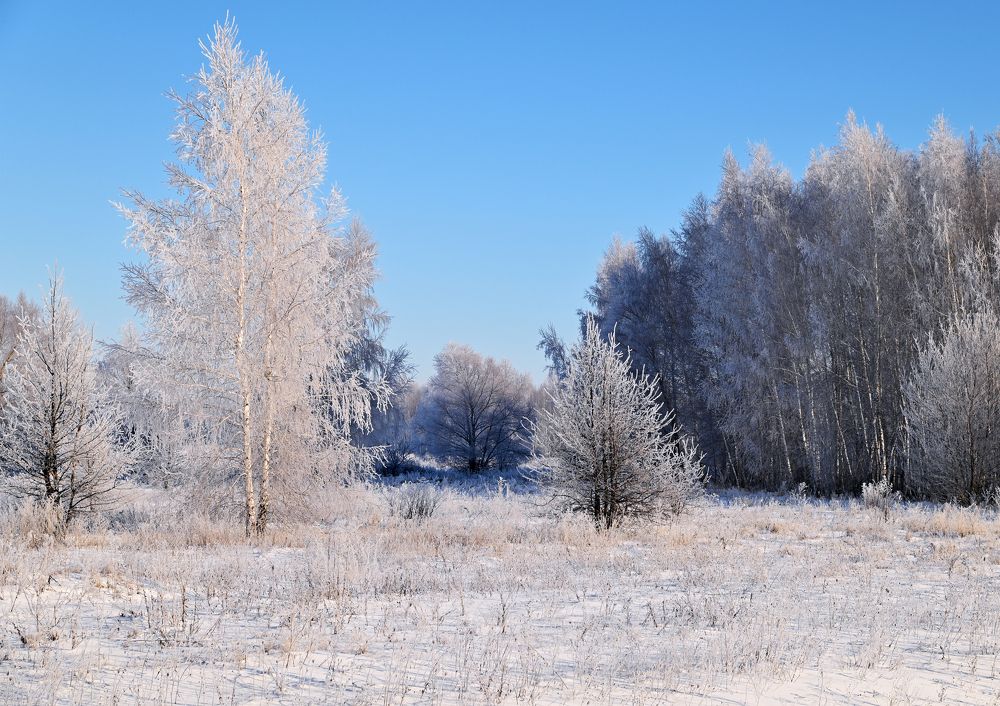 Photograph by Антонина Ахмадеева