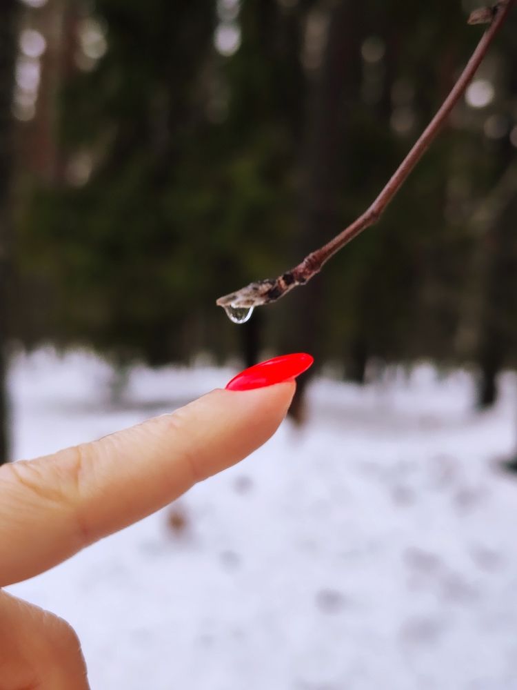 Photograph by Мария Устьянцева