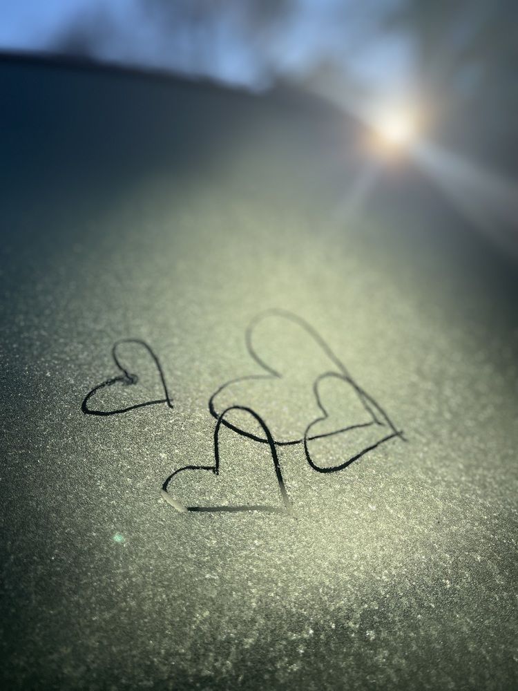 Photograph by Anna Stoeva