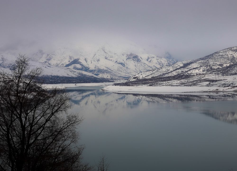 Photograph by Оксана Сафина