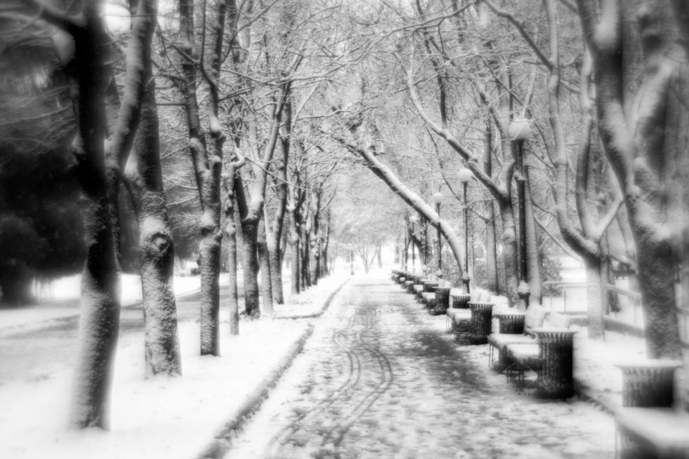 Photograph by Бондарев Александр